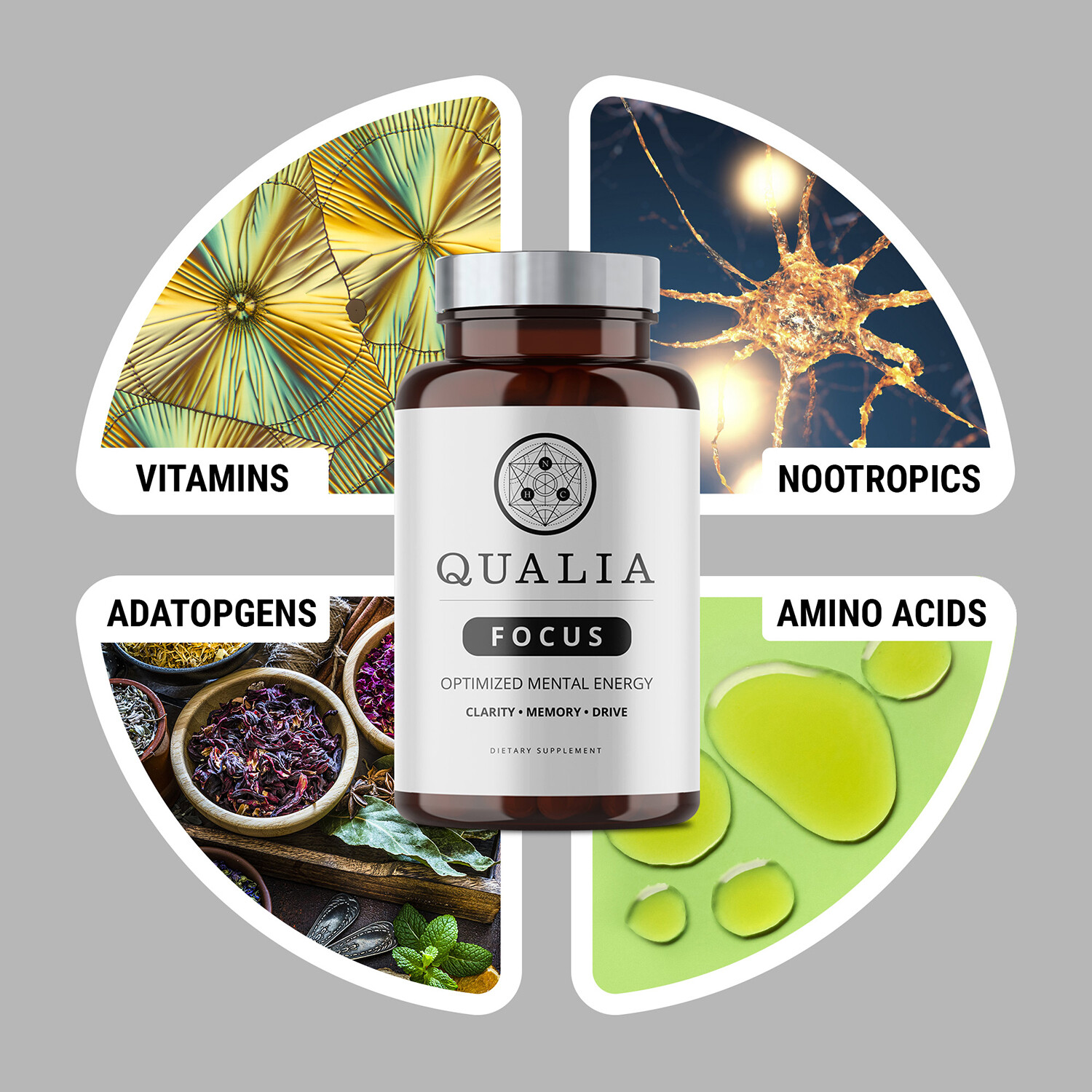 Qualia
