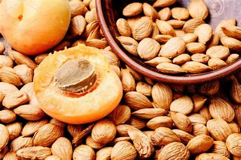 Seeds