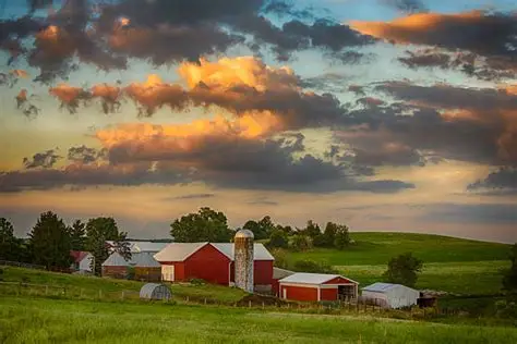 Farm