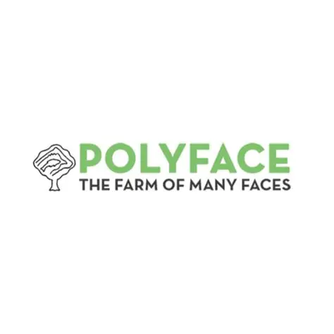 Polyface