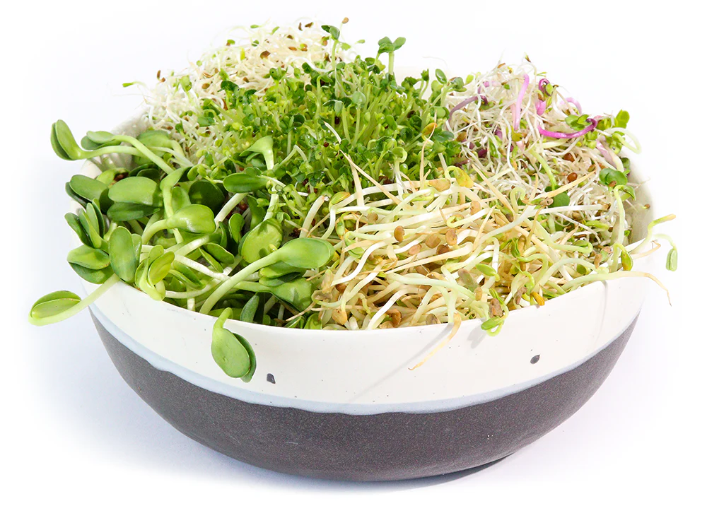 Sprouts