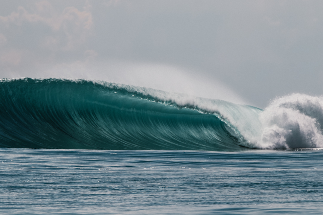 Wave